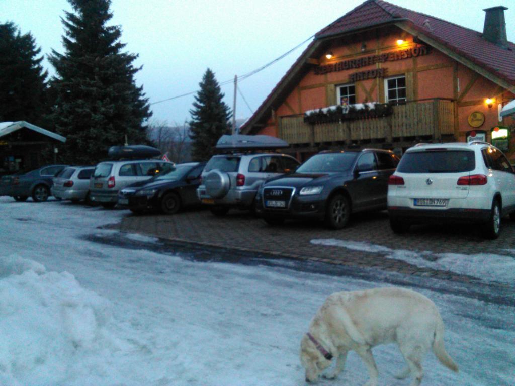 Restaurant Pension-Anton Jáchymov Esterno foto
